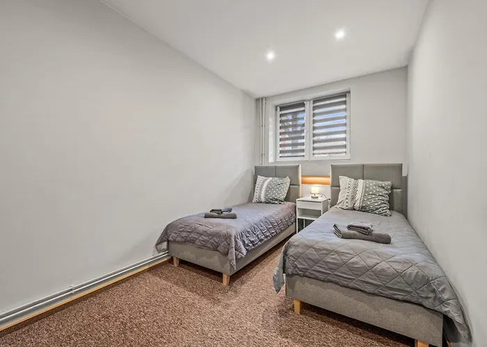 Centrum ריבניק